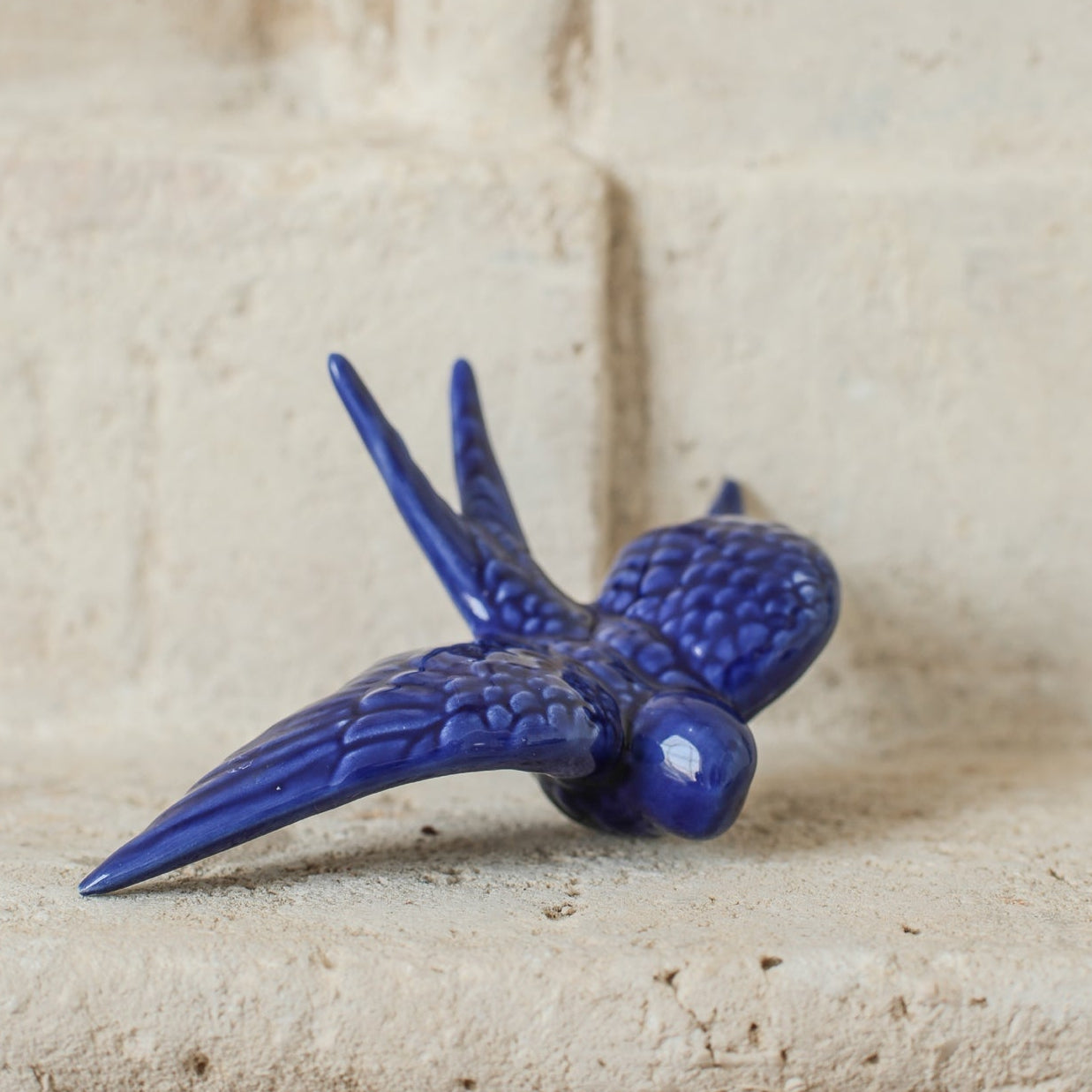 Hirondelle bleu cobalt (grande taille)