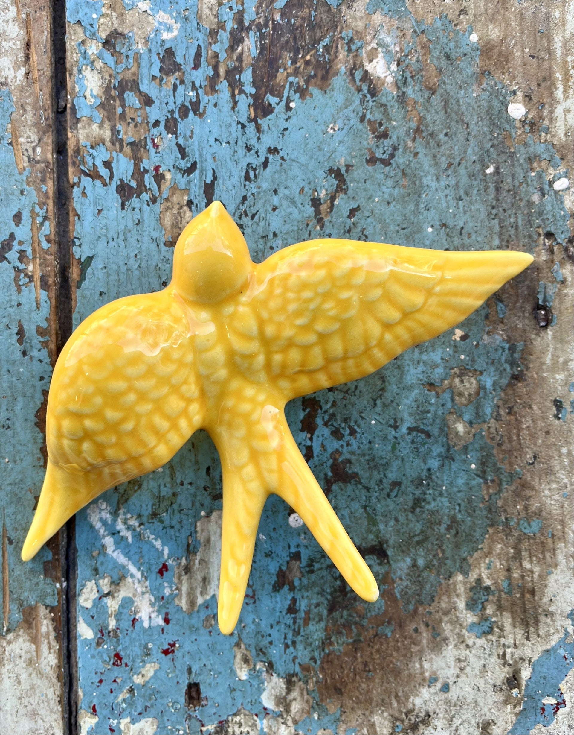 Hirondelle jaune (grande taille)