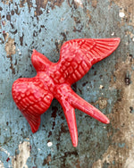 Hirondelle Petite taille